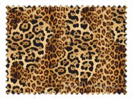 Obrázek zboží: Gepard